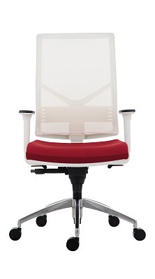 1850 SYN Omnia WHITE_ALU+BR_004.jpg