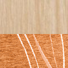 _borovice-T101 (1).png