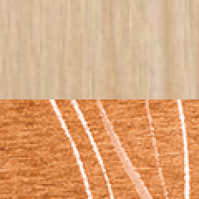 _borovice-T101 (1).png