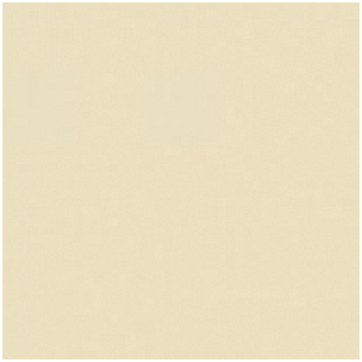 kartoteky_ral 1015.png