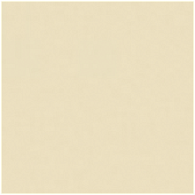 kartoteky_ral 1015.png