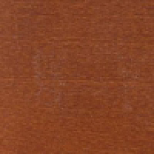 Buk_koniak.png