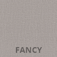 FANCY-06.png