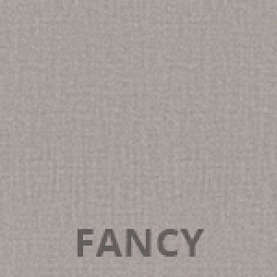 FANCY-06.png