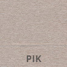 PIK-1.png