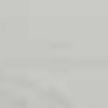 Buk_bělený.png