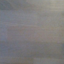 Buk_šedý.png