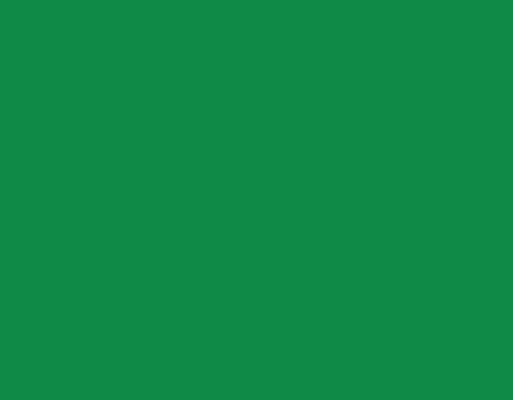 omsi-barva-skorepiny-tmave-zelena.png