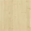 Javor