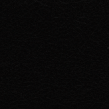 MK200.png
